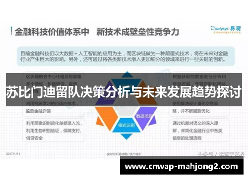 苏比门迪留队决策分析与未来发展趋势探讨