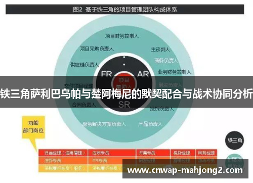 铁三角萨利巴乌帕与楚阿梅尼的默契配合与战术协同分析