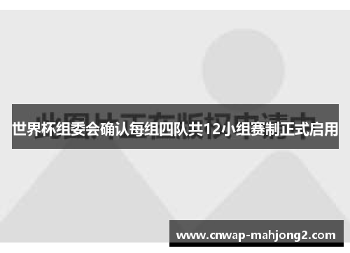 世界杯组委会确认每组四队共12小组赛制正式启用