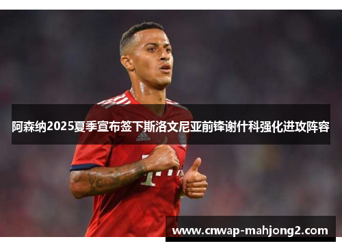 阿森纳2025夏季宣布签下斯洛文尼亚前锋谢什科强化进攻阵容 阿森纳2025夏季宣布签下斯洛文尼亚前锋谢什科强化进攻阵容